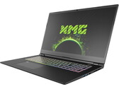 Análisis del Schenker XMG Pro 17 con RTX 3080 (Clevo PC70HS): Un portátil de juegos ultradelgado y estación de trabajo en uno