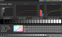 CalMAN Escala de grises