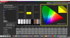 CalMAN ColorChecker (perfil TrueColor: Display-P3)