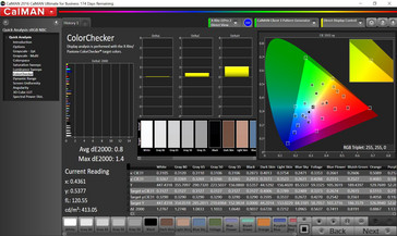 CalMAN ColorChecker (P3)