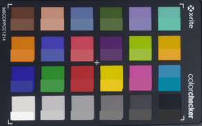 Pasaporte ColorChecker: La mitad inferior de cada área de color muestra el color de referencia