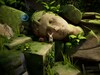 Quill está de pie sobre un bloque de piedra cubierto de musgo frente a una gran cabeza de estatua de piedra erosionada.