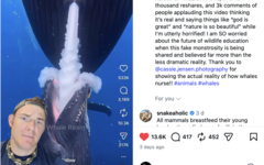 GatorChris explica en un vídeo que las ballenas no amamantan así