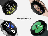 El Galaxy Watch4 pronto será elegible para las compilaciones beta de One UI Watch. (Fuente de la imagen: Samsung)