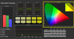 Calman ColorChecker: Modo de visualización DisplayP3 - saturación