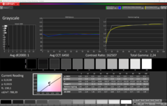 CalMAN escala de grises calibrada