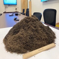 Un montón de 1 millón de mosquitos (Fuente de la imagen: The Lee County Mosquito Control District; recortada)