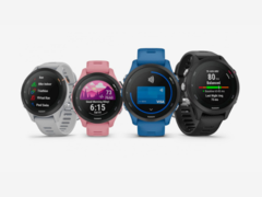 Los rumores sobre un Garmin Forerunner 265 comenzaron poco después del lanzamiento del reloj Garmin Forerunner 255 (arriba). (Fuente de la imagen: Garmin)