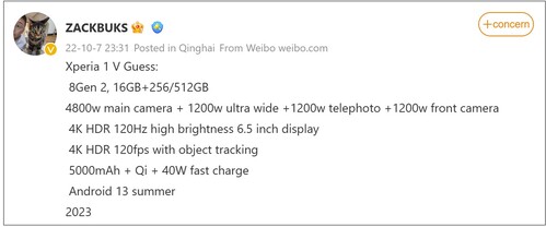 Especificaciones del Xperia 1 V. (Fuente de la imagen: ZACKBUKS)