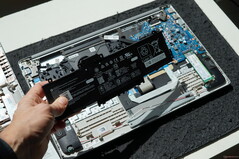 Desmontaje HP 255 G10