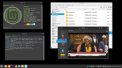 Captura de pantalla de la sesión Wayland aún experimental de Cinnamon 6.0 (Imagen: Linux Mint).