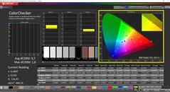 CalMAN ColorChecker (perfil: Pantalla P3, espacio de color de destino P3)