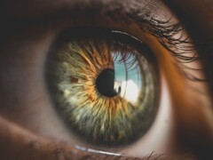 Con 25.000 PPI, el Retina E-Paper alcanza el límite visual del ojo humano. (Fuente de la imagen: Bruno Henrique/ Pixabay)