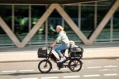 Tern ha revelado la bicicleta eléctrica Quick Haul con accesorios para adaptar el vehículo a sus necesidades de transporte. (Fuente de la imagen: Tern)