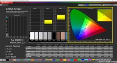 CalMAN ColorChecker (perfil: sRGB, espacio de color de destino: sRGB)