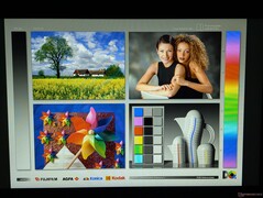 Amplios ángulos de visión IPS