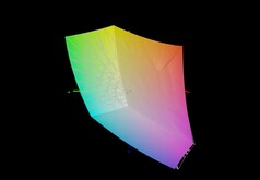 Acer Nitro V14 AI vs sRGB