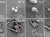 Fragmentos de plástico en el agua (Fuente de la imagen: Environmental Science & Technology Letters vía ScienceAlert)