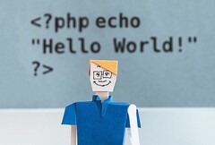 PHP está por detrás de los lenguajes de programación de la familia C en popularidad (Fuente de la imagen: KOBU Agency on Unsplash)