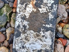 Tras cinco años sumergido en el río Támesis, un iPad Mini permitió a la Policía Metropolitana resolver una investigación de seis años. (Fuente de la imagen: Met Police vía BBC)