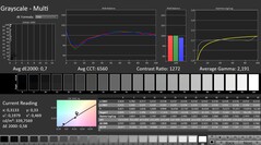 Calman: Escala de grises (calibrada)