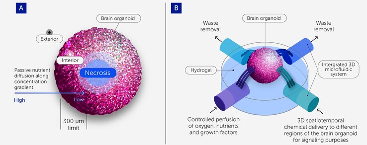 (Fuente de la imagen: Frontiers of Science)