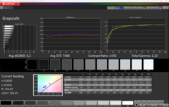 CalMAN Escala de grises