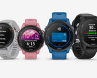 La serie Garmin Forerunner 255 está disponible en numerosas configuraciones, incluyendo dos tamaños. (Fuente de la imagen: Garmin)