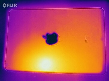 Mapa de calor trasero