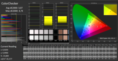 CalMAN - ColorChecker