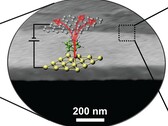 capa de transistores térmicos de 1 nm de grosor molecular colocada sobre semiconductores (Fuente de la imagen: Science)