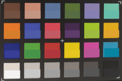Pasaporte ColorChecker: el campo inferior contiene el color de referencia