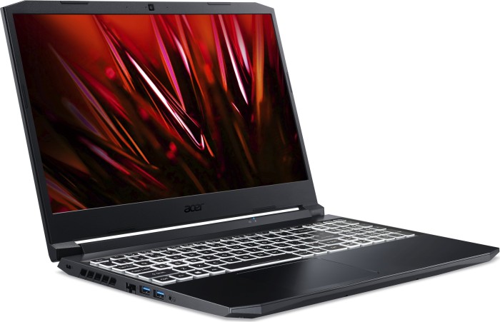 Acer Nitro 5 AN515-45-R715 